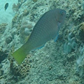 IMG_1999.JPG