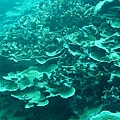 IMG_2163.JPG