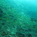 IMG_2185.JPG