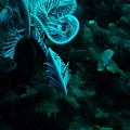 IMG_1896.JPG
