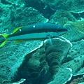 IMG_1945.JPG