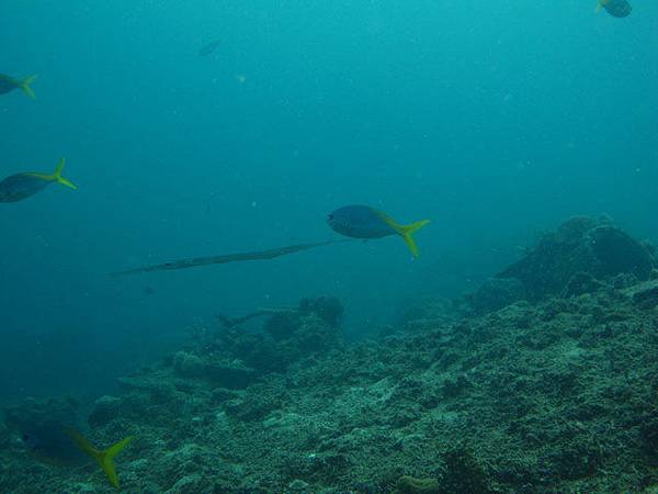 IMG_2187.JPG
