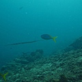 IMG_2187.JPG