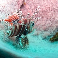 IMG_1905.JPG
