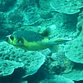 IMG_1964.JPG