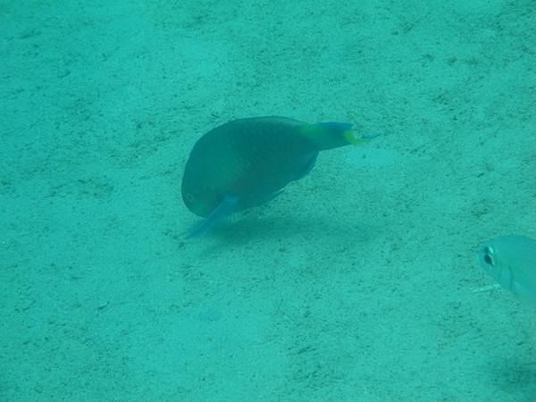 IMG_2005.JPG