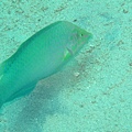 IMG_2012.JPG