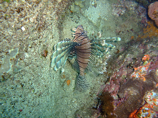 DSCF7819.JPG