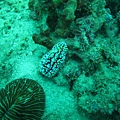 IMG_2034.JPG