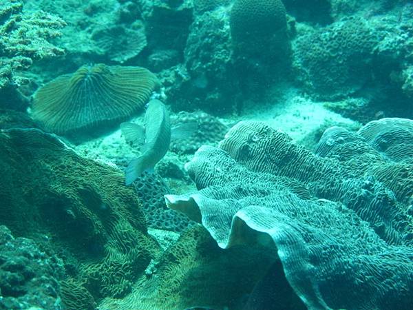 IMG_1948.JPG