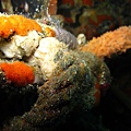 IMG_2184.JPG