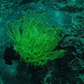 IMG_1902.JPG