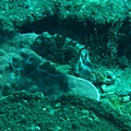 IMG_1890.JPG