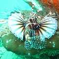 IMG_2043.JPG