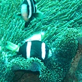 IMG_1951.JPG