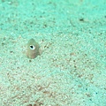 IMG_2014.JPG