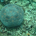 IMG_2086.JPG