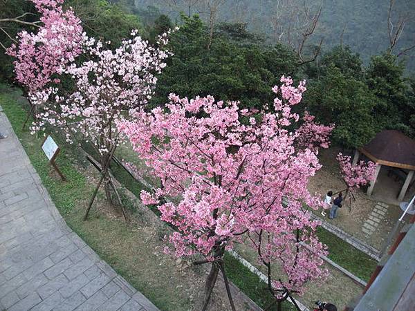 DSCF8052.JPG