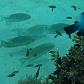 IMG_1997.JPG