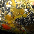 IMG_2183.JPG