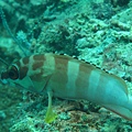 IMG_2049.JPG