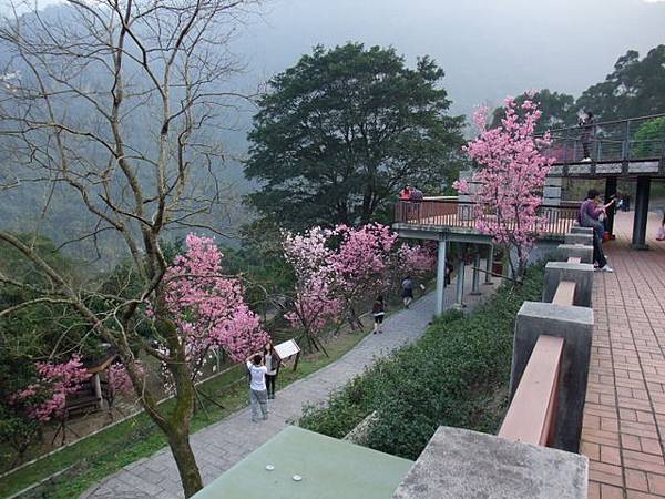 DSCF8041.JPG