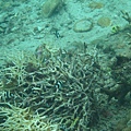 IMG_2108.JPG