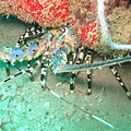 IMG_2144.JPG
