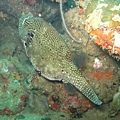 IMG_2136.JPG
