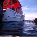 IMG_1984.JPG
