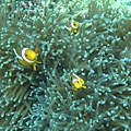 IMG_2089.JPG