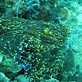 IMG_2205.JPG