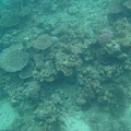 IMG_2113.JPG
