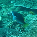 IMG_1943.JPG