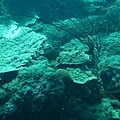 IMG_1939.JPG