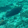 IMG_1942.JPG
