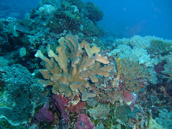 DSCF7775.JPG