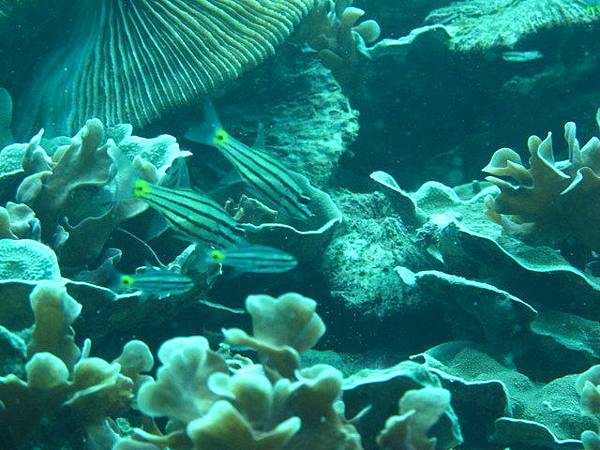 IMG_2165.JPG
