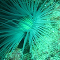 IMG_2060.JPG