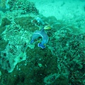 IMG_2033.JPG