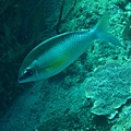 IMG_1941.JPG