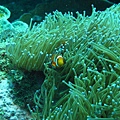 IMG_1936.JPG
