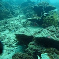 IMG_2045.JPG