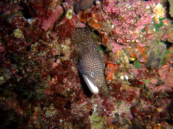 DSCF7825.JPG