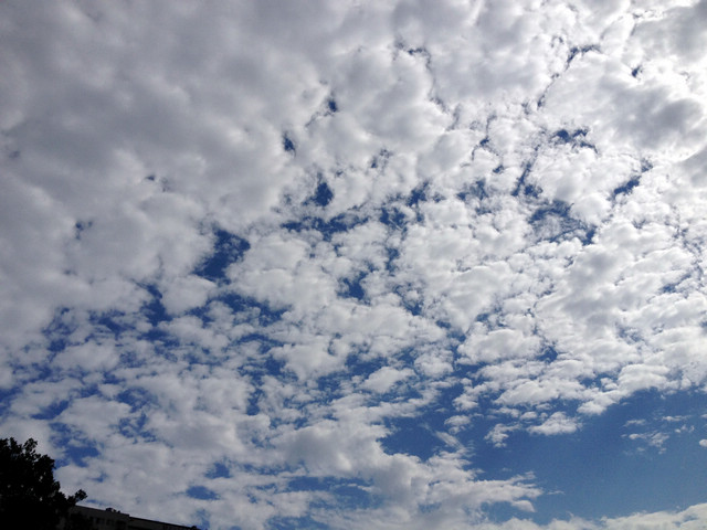 130112_az01_006 130112_az01_006