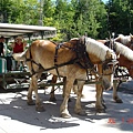 Sophy in Mackinac 024.jpg