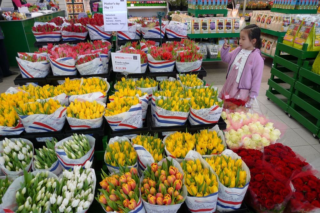 P1290860.JPG P1290860.JPG