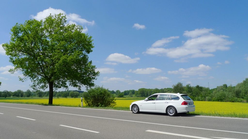 P1300469-1.jpg P1300469-1.jpg