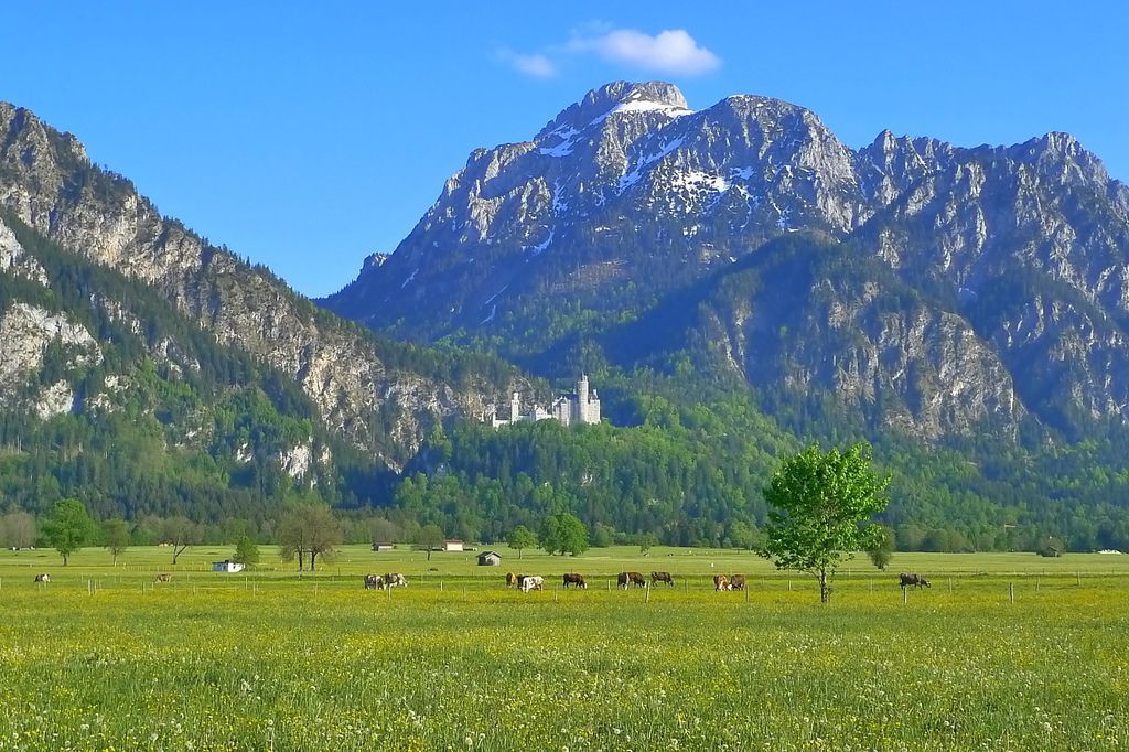 P1300570.JPG P1300570.JPG