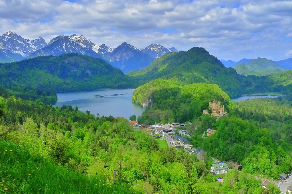 P1300646.JPG P1300646.JPG